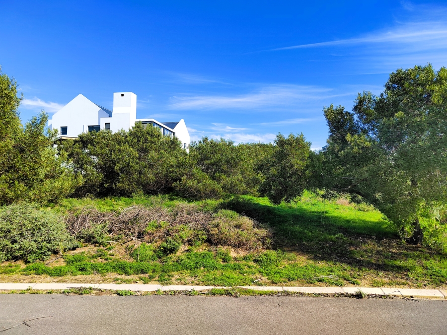 0 Bedroom Property for Sale in Da Gama Bay Western Cape